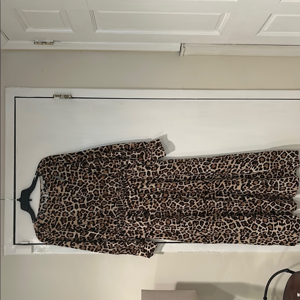 Chic Leopard Print Dress